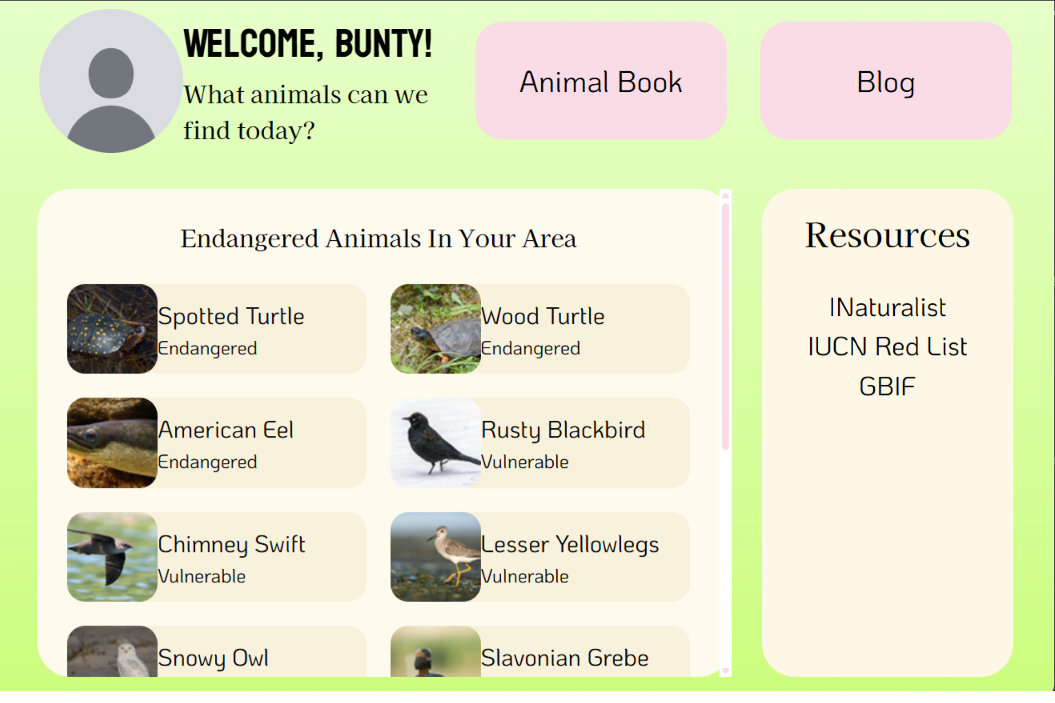 My Animal Book preview